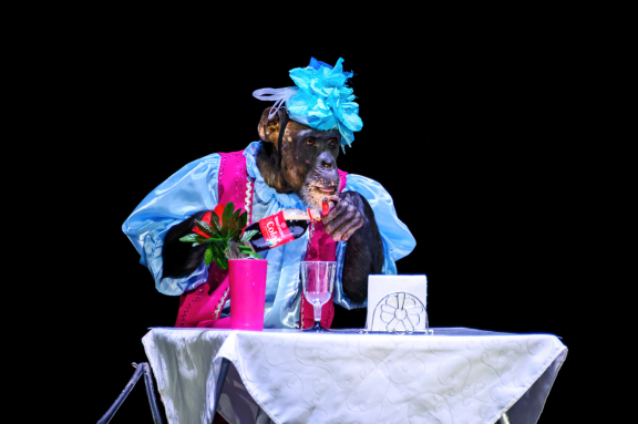 &TScy;&icy;&rcy;&kcy; &ncy;&acy; &vcy;&ocy;&dcy;&iecy; &TScy;&acy;&rcy;&scy;&tcy;&vcy;&ocy; &fcy;&ocy;&ncy;&tcy;&acy;&ncy;&ocy;&vcy;