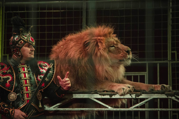 Волшебный новый год